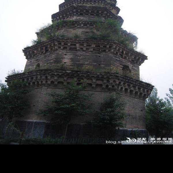兴阳禅寺塔 - 图片7