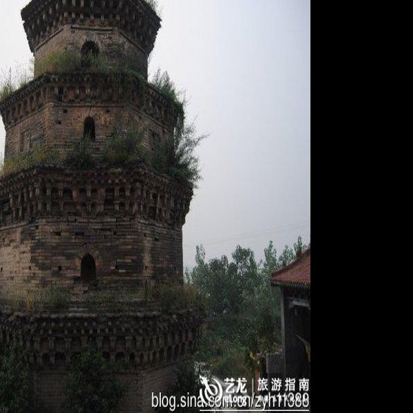 兴阳禅寺塔 - 图片8