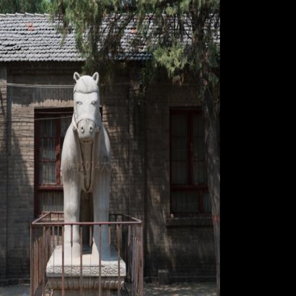 袁林 - 图片1