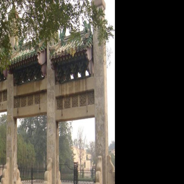 袁林 - 图片3