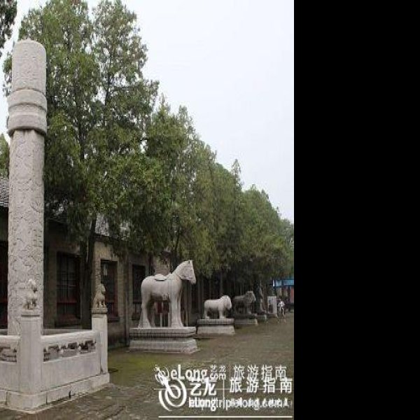 袁林 - 图片4