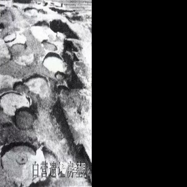白营遗址 - 图片10
