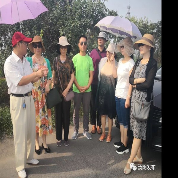 白营遗址 - 图片2