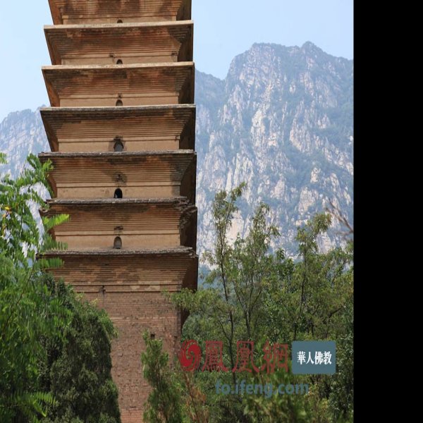 法王寺塔 - 图片2