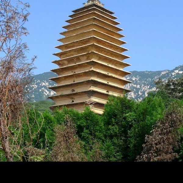法王寺塔 - 图片3