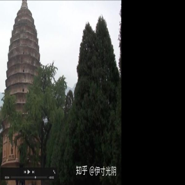 法王寺塔 - 图片4