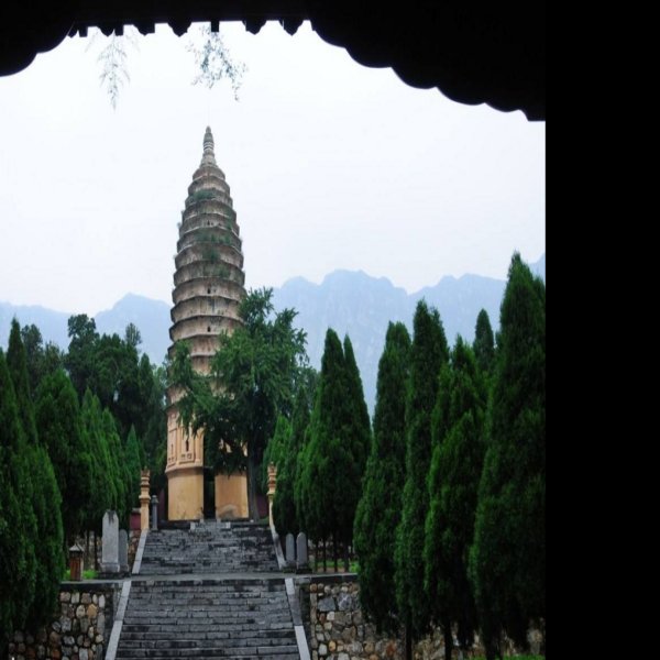 法王寺塔 - 图片8