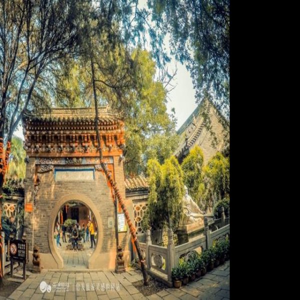 禹王台 - 图片9