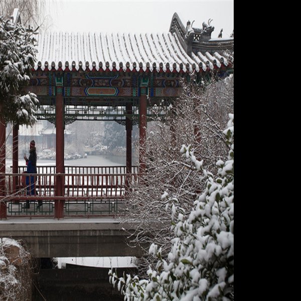 古莲花池 - 图片10