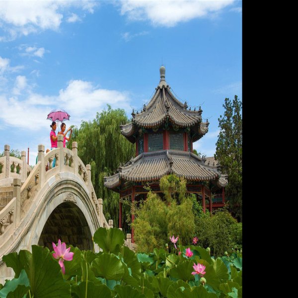古莲花池 - 图片2