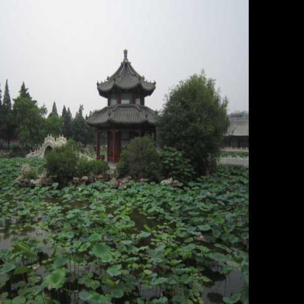 古莲花池 - 图片5