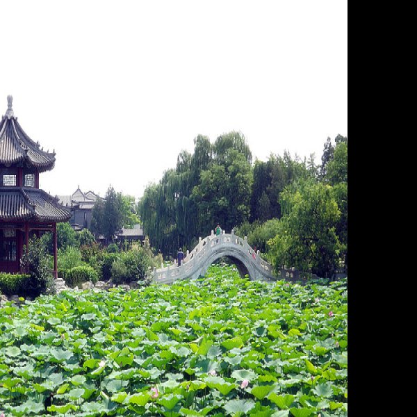 古莲花池 - 图片6