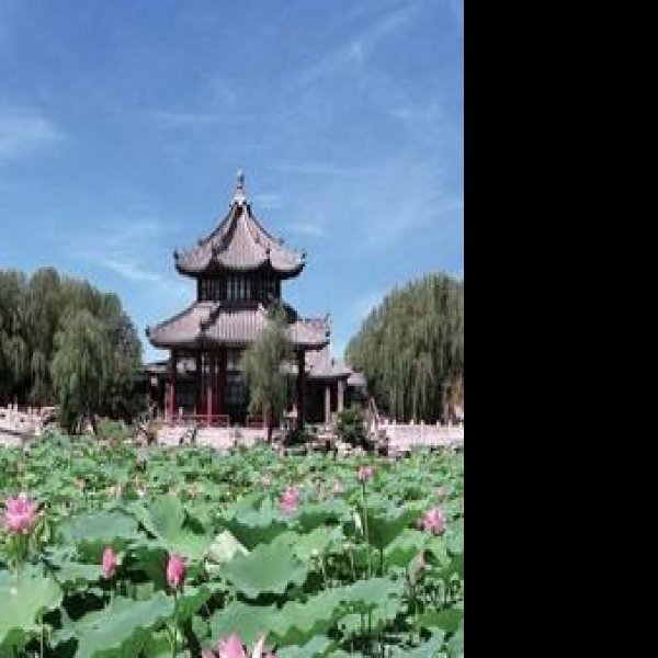 古莲花池 - 图片8
