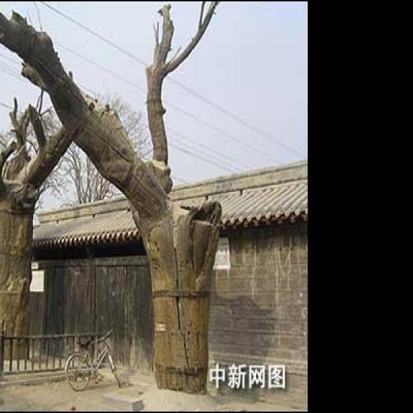 冉庄地道战遗址 - 图片6