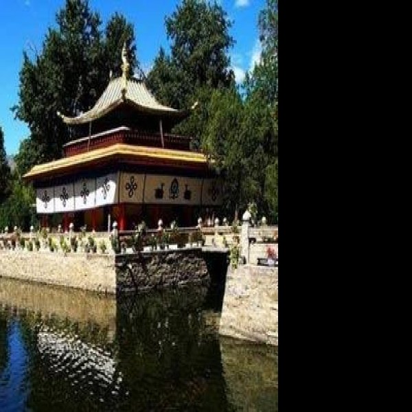 西藏拉萨罗布林卡 - 图片9