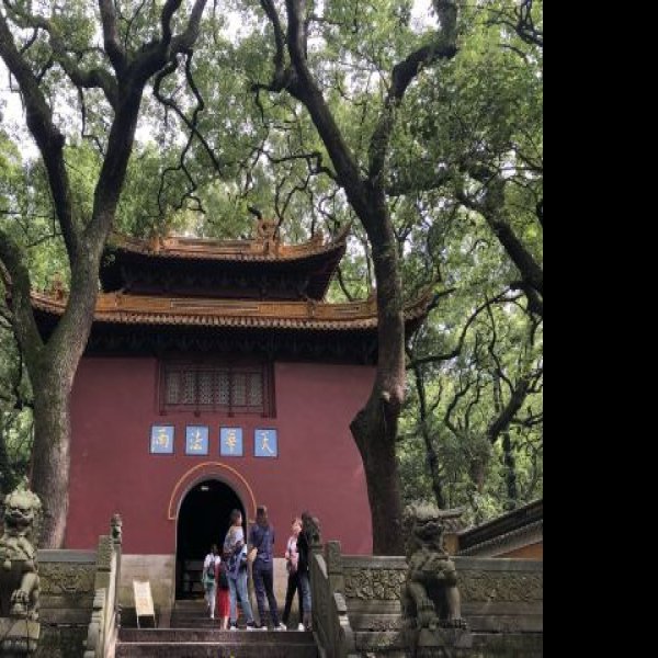 法雨寺 - 图片5