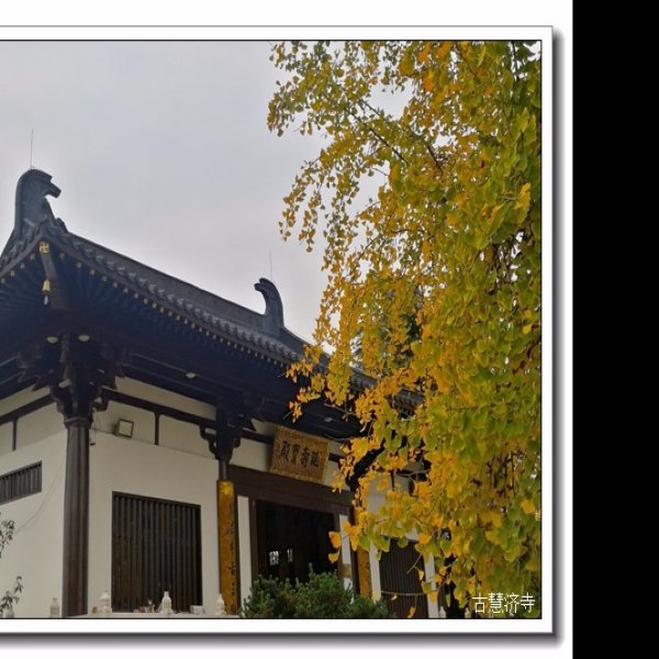 慧济寺 - 图片3