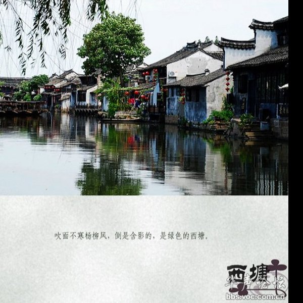 西塘 - 图片10