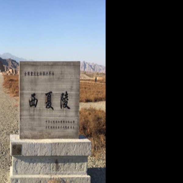 宁夏银川西夏王陵 - 图片6