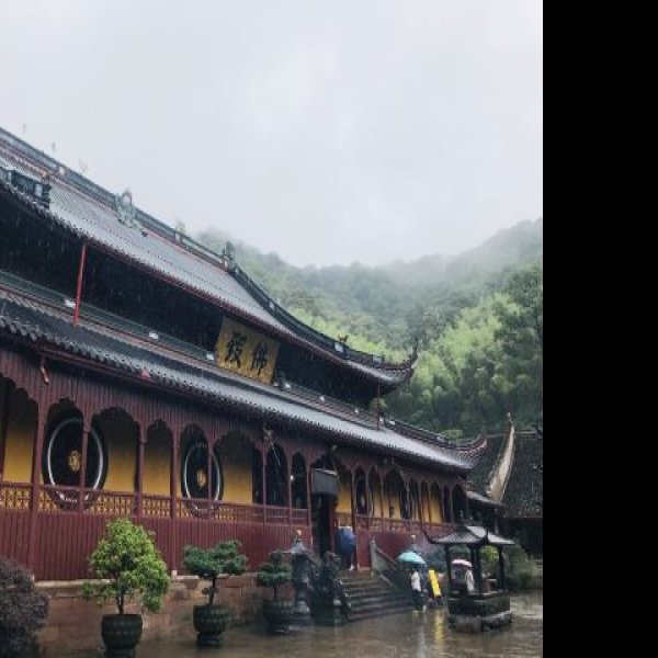 天童寺 - 图片8
