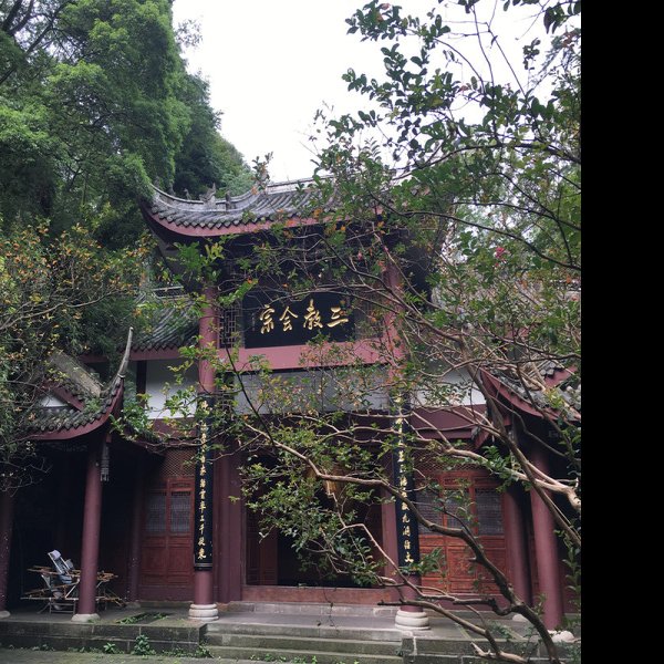 伏虎寺 - 图片4