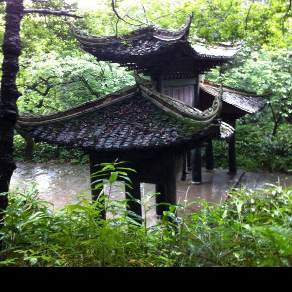 伏虎寺 - 图片6