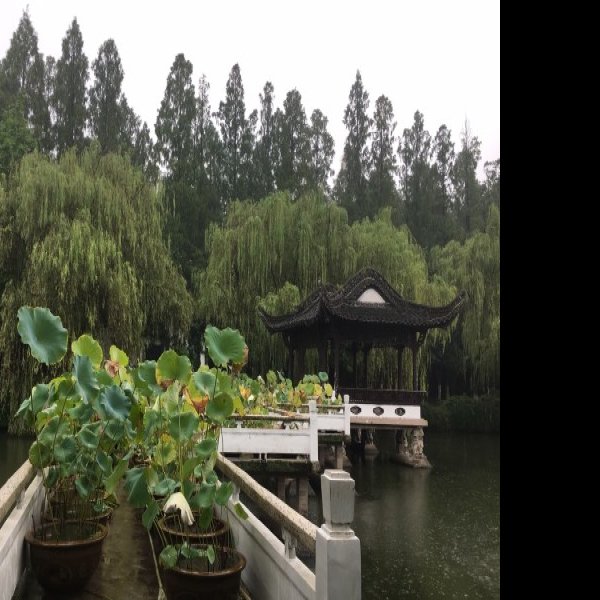 包公园 - 图片3