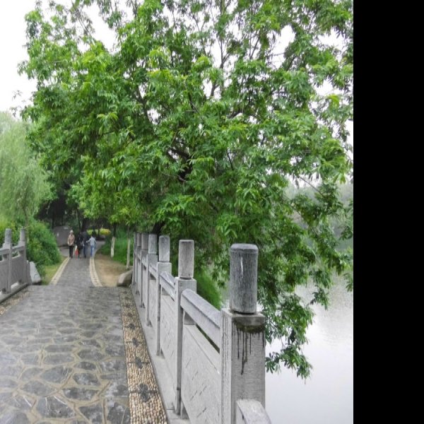 包公园 - 图片6