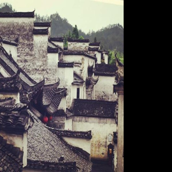 西递 - 图片2