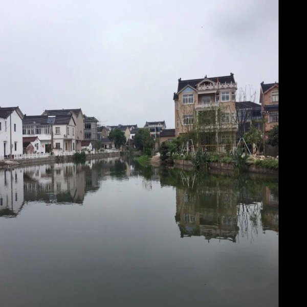 江村 - 图片6