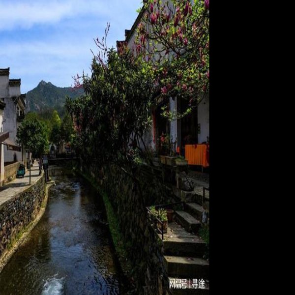 绩溪龙川 - 图片2