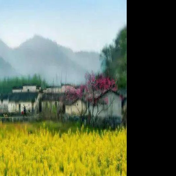 婺源 - 图片5