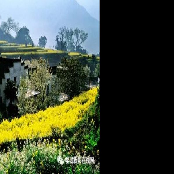 婺源 - 图片7