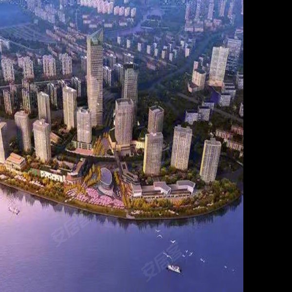 江湾 - 图片3