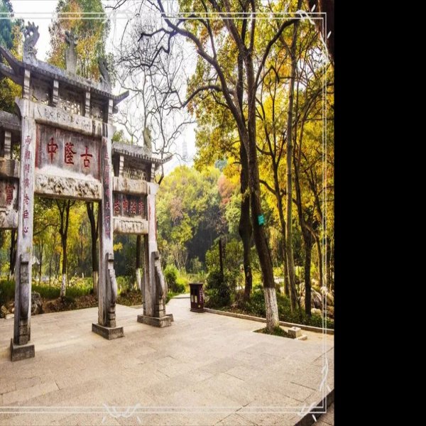 隆中 - 图片1