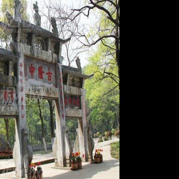 隆中 - 图片2