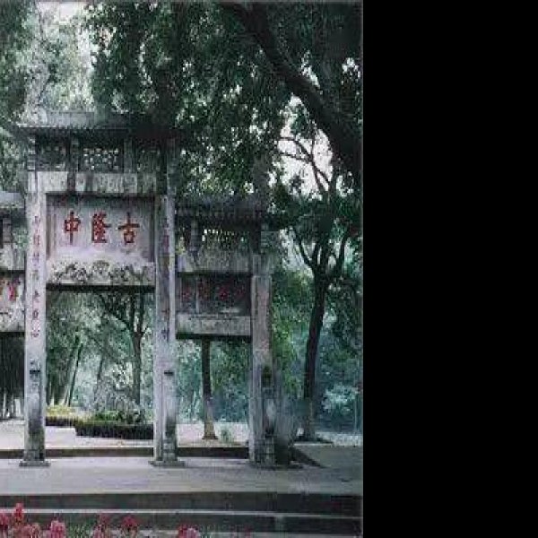 隆中 - 图片8