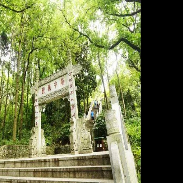 隆中 - 图片9