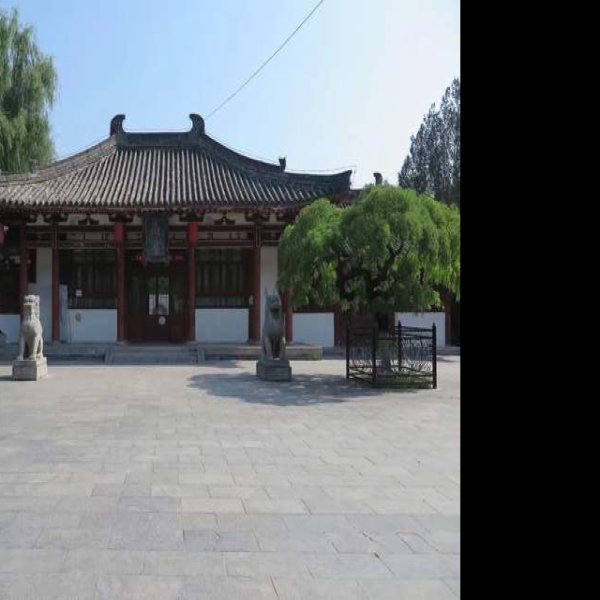 兴庆宫遗址 - 图片6