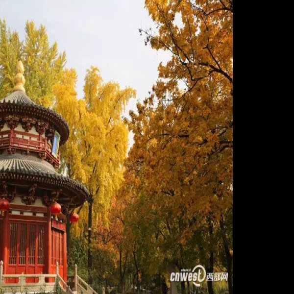 兴庆宫遗址 - 图片7