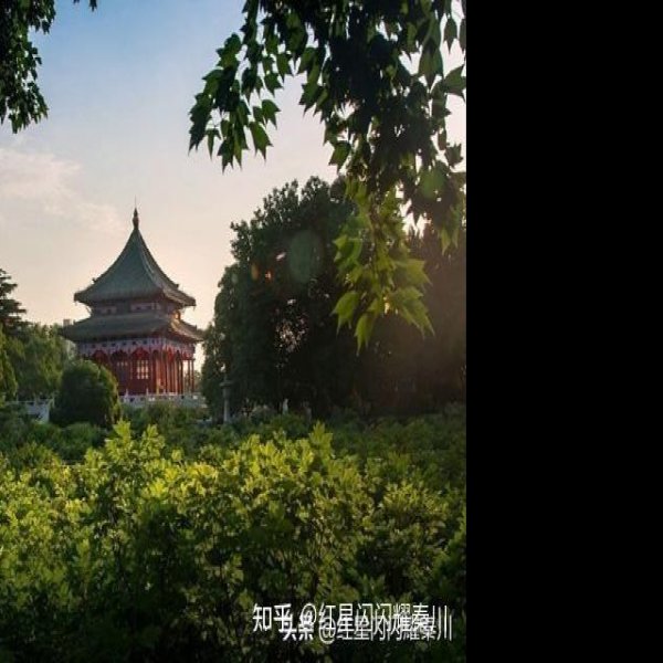 兴庆宫遗址 - 图片8