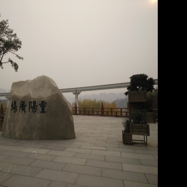 曲江池遗址 - 图片5
