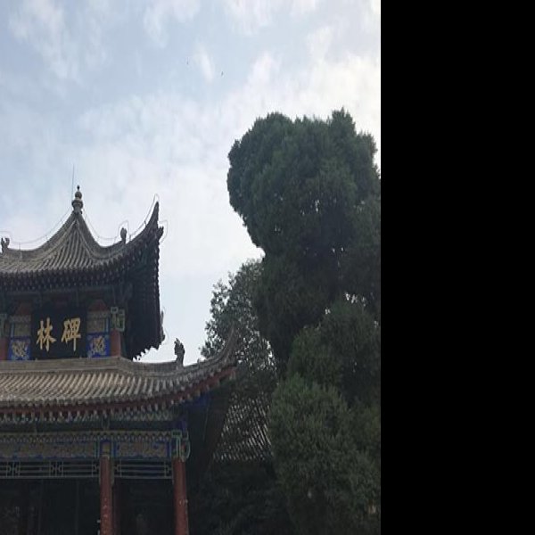 碑林 - 图片10