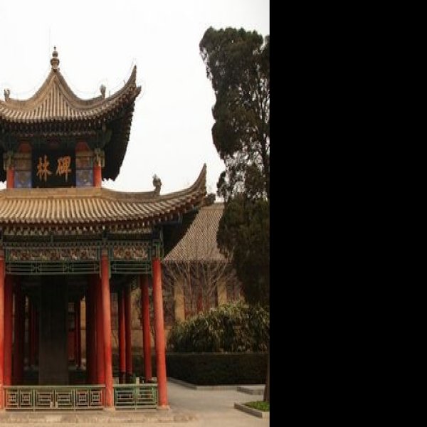 碑林 - 图片3