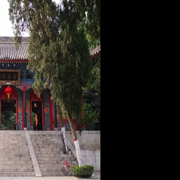 玉泉院 - 图片1