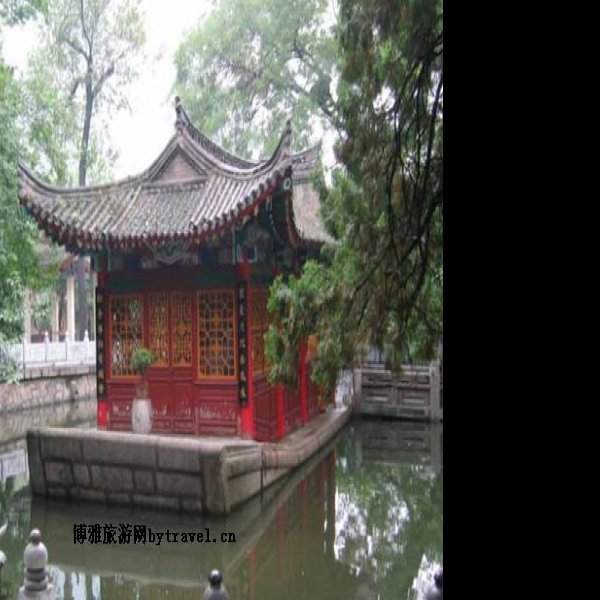 玉泉院 - 图片2