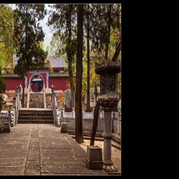玉泉院 - 图片5