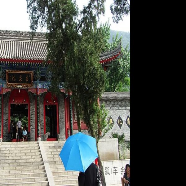 玉泉院 - 图片7