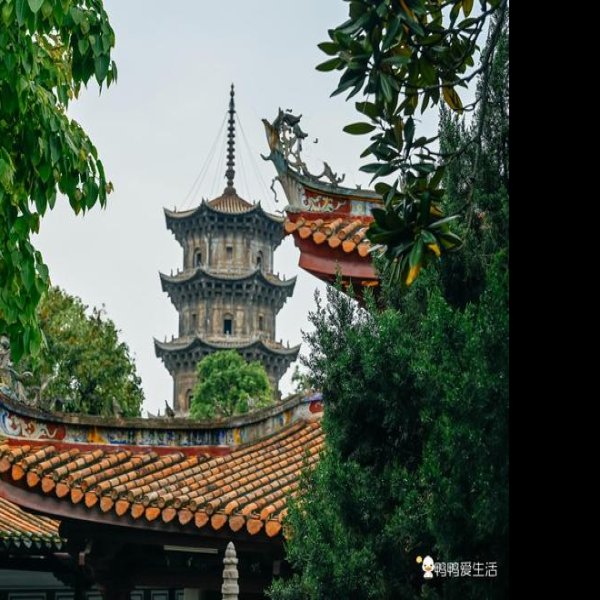 福建泉州开元寺东西塔 - 图片5