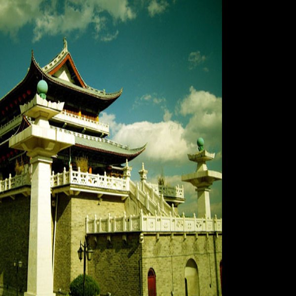 文献楼 - 图片9